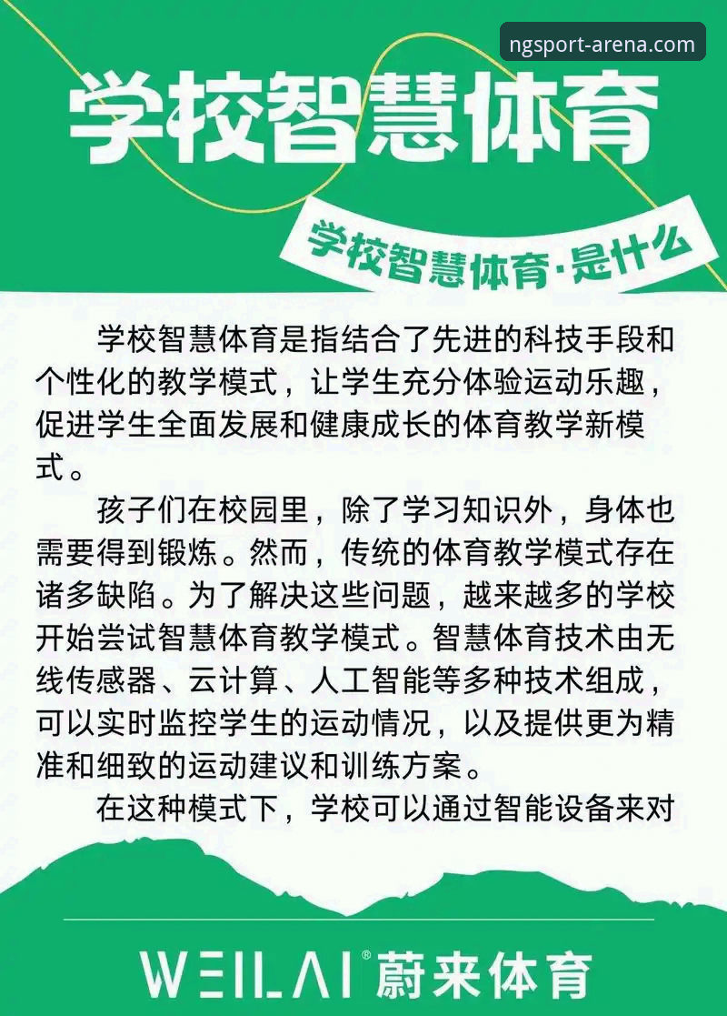 掌握NG体育平台稳定流畅体验的实用指南